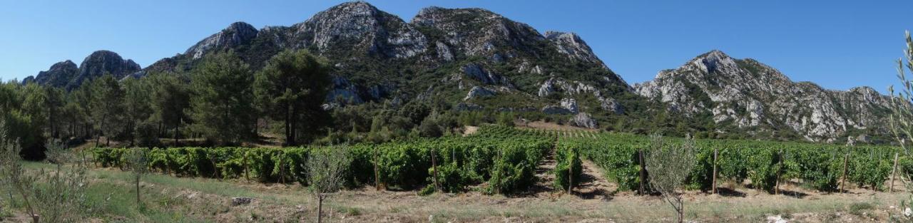Les Lavandins-Gite Frederic Saint-Rémy-de-Provence Buitenkant foto