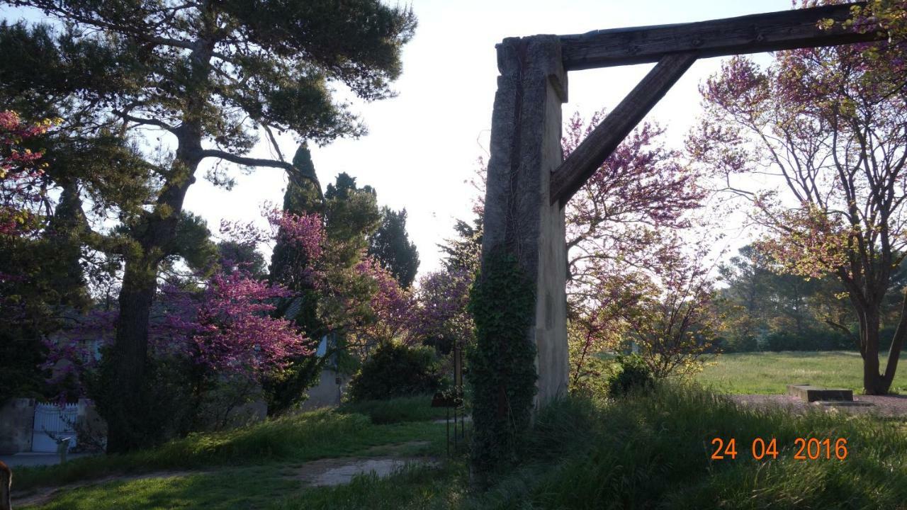 Les Lavandins-Gite Frederic Saint-Rémy-de-Provence Buitenkant foto