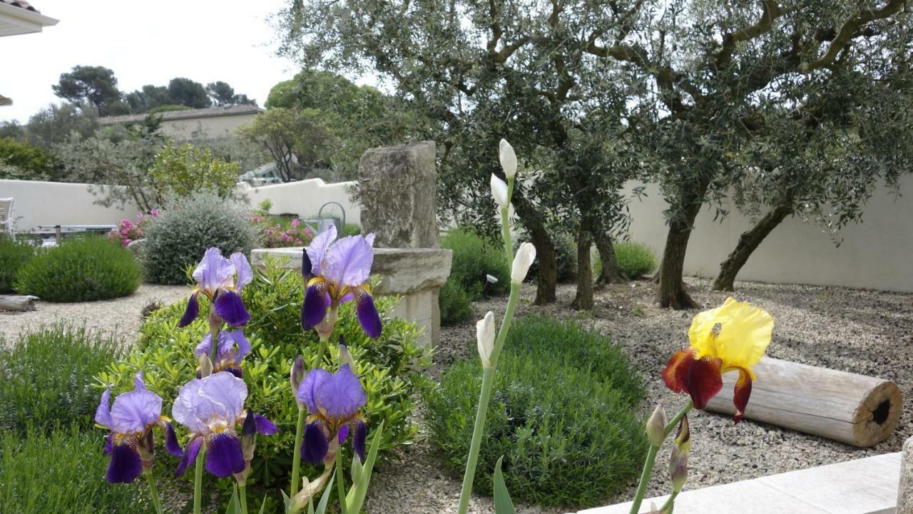 Les Lavandins-Gite Frederic Saint-Rémy-de-Provence Buitenkant foto